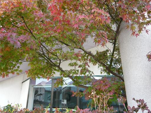 ジュアン「生あったかい風」