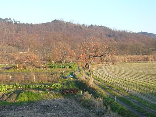 ジュアン「師走　クリスマス料理　クリスマスケーキ」
