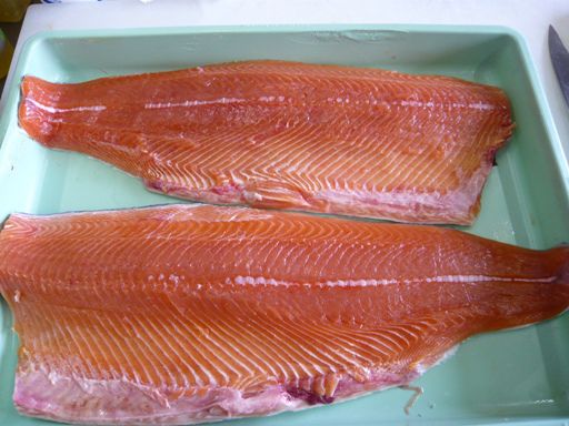 ジュアン「早くも桜マス登場」