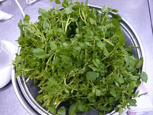 ジュアン「５月の水辺の香り」