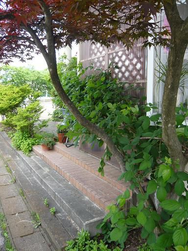 ジュアン「今年も自家製のジャム作りを」