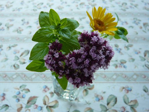 ジュアン「テーブルのハーブ」