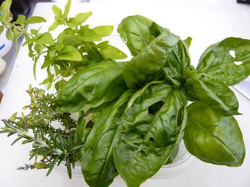 ジュアン「雨にも負けず、蒸し暑さにも負けず」