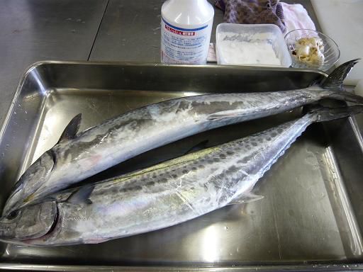 ジュアン「いただいた大物の魚」