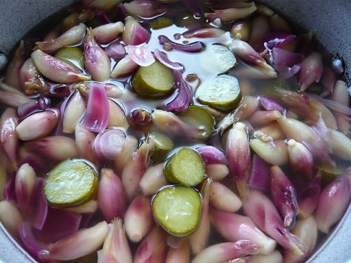 ジュアン「乙な味　みょうがのピクルス」