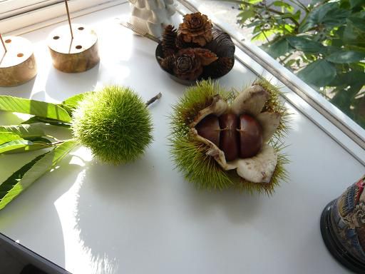 ジュアン「秋の味覚　栗」