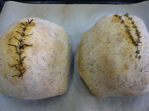 ジュアン「かせきのたまご　プレ試食会」