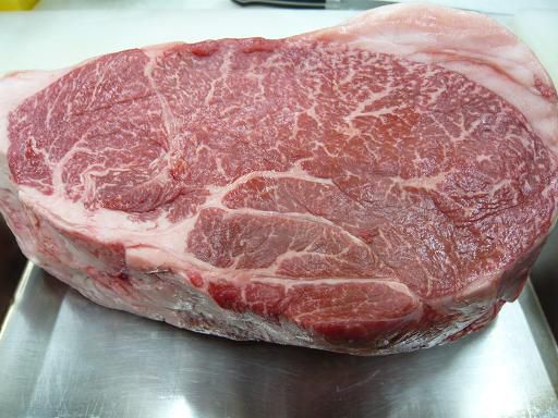 ジュアン「今日も化石を２個発掘」