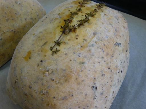 ジュアン「かせきのたまご発掘プロジェクト」がラジオカーリポートに