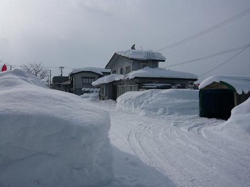 ジュアン「バレンタインデー近づく・冬将軍もちょっと一服か？」