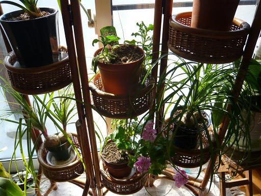 ジュアン「つかの間の太陽とホットな料理で」