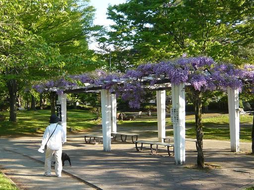 ジュアン「ランチのご案内とフリースポット」