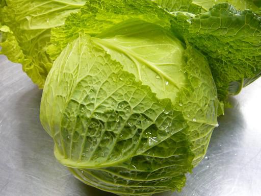 ジュアン「ちりめんキャベツ」