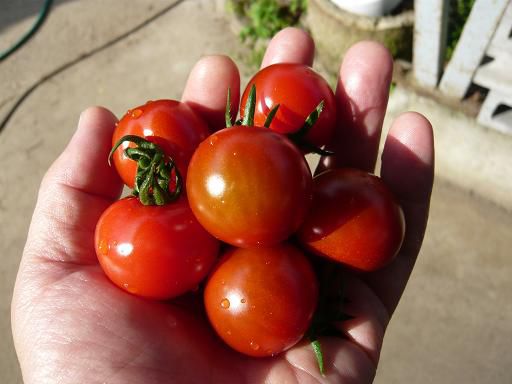 ジュアン「夏空とスイカ」