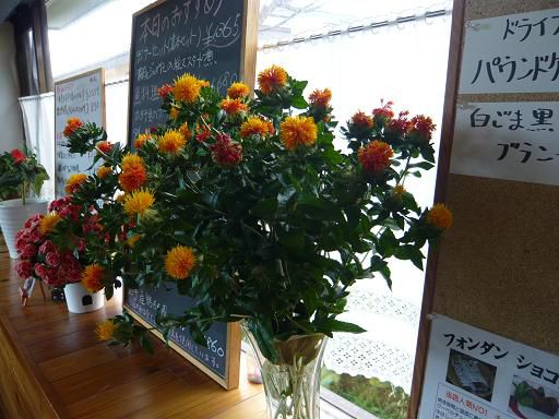 ジュアン「おがったぞ　ヒョウとバジル」