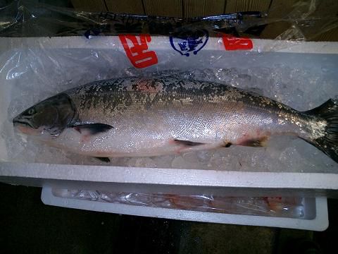 ジュアンのうまいもの、今日は鱒とメバル!