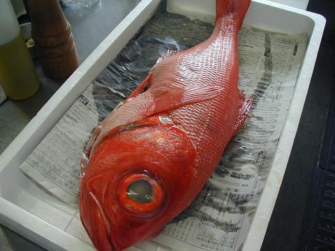 ジュアンのもう一つおすすめの魚 金目ダイ