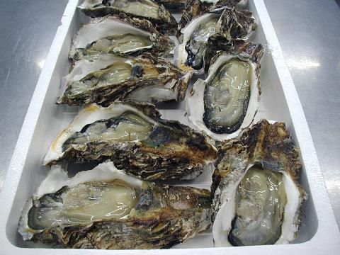 ジュアンの美味いもの♪酒田沖の岩牡蠣