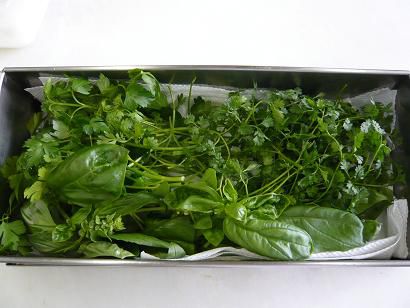 我が家の常備ハーブ