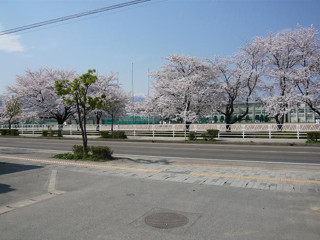 ジュアンをインターネットで検索!