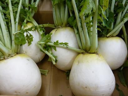 ジュアン 「高畠 亀岡のしょうご院大根」