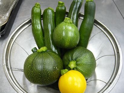 ジュアン「ズッキーニ 長いやつと丸いやつと・・・」