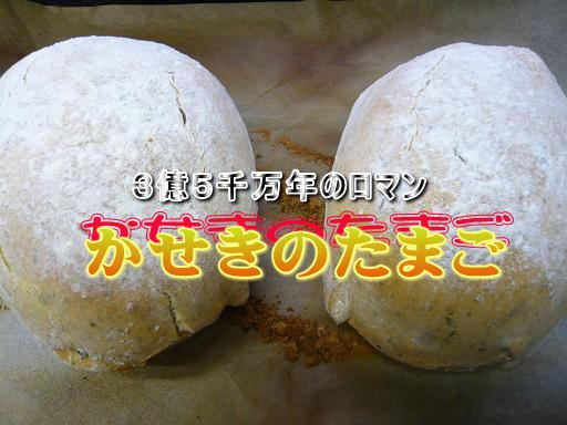 ジュアン「かせきのたまご CM映像」