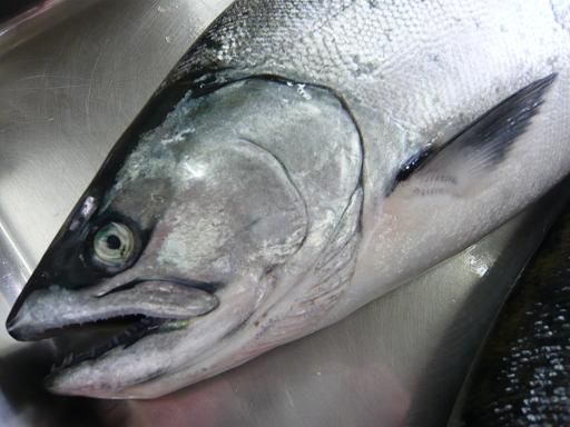 ジュアン「ファイトだぞ」