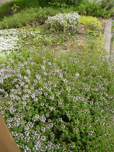 ジュアン「朝市御礼」