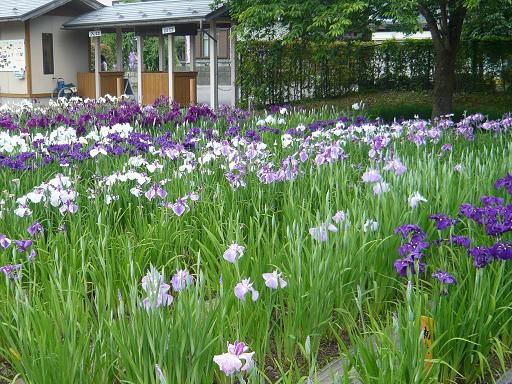 ジュアン「暑さ対策は口から、目から、皮膚からも感じてください」