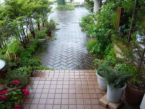 ジュアン「ちじれキャベツとソーセージ」