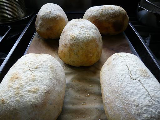 ジュアン「金婚式記念日に かせきのたまごのサプライズ」