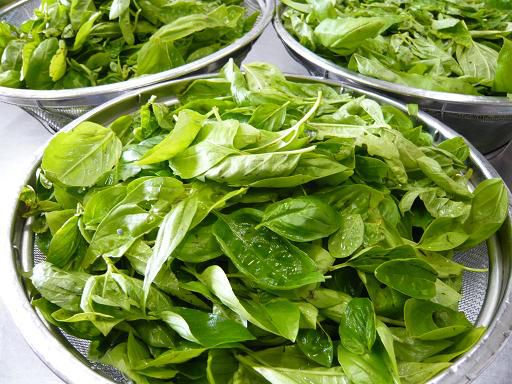 ジュアン「むせ返る香り バジル」