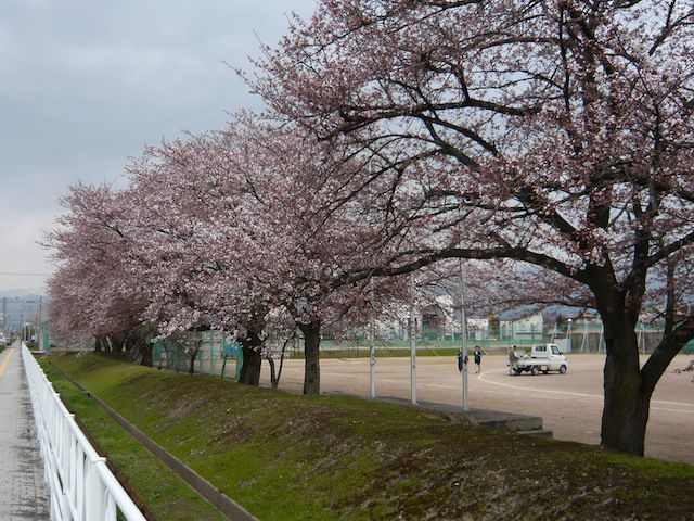 ジュアン「かせきのたまご」