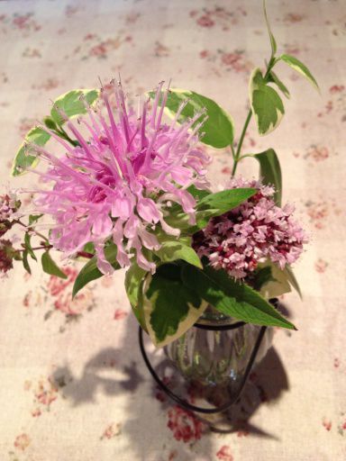 ジュアン「雨の日のハーブの花」