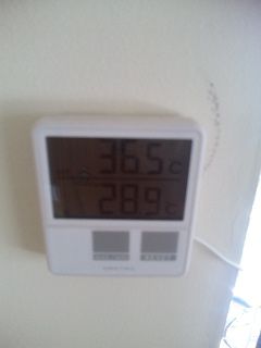 29℃でも快適な家！