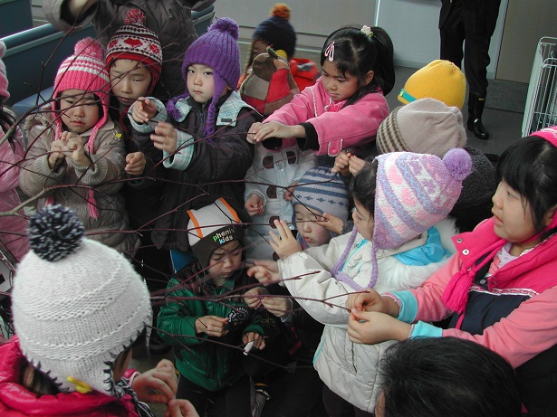 2011/01/14 16:05 ����ؤˡɤ��󤴤��ڡ�