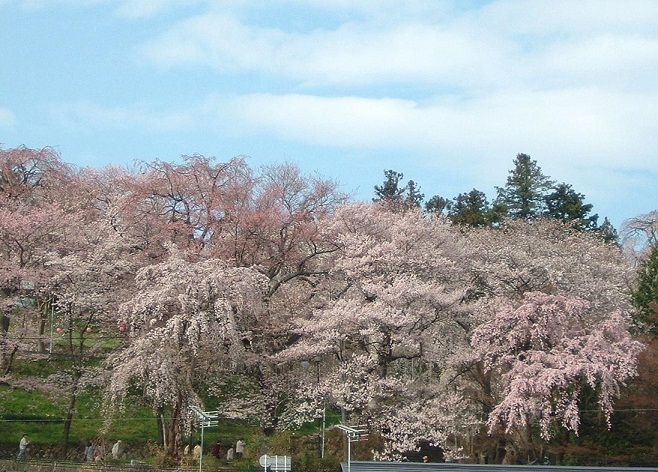 2011/04/15 18:31 �����������ޤĤ�פ�����Ǥ���