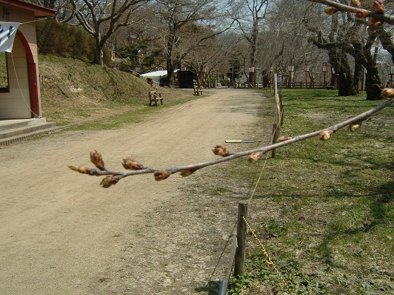 2011/04/18 13:59 ��˹�һ����־����4/18��