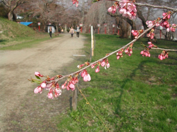 2011/04/27 16:03 ��˹�һ����־����4/27��