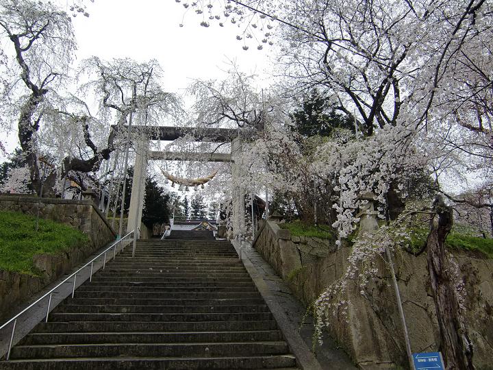 2011/04/30 20:27 ��˹�һ����־����4/30��