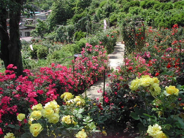 2011/07/01 16:29 �о��Х�೫�־����7/1��