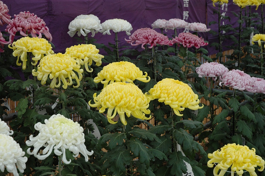 2011/10/26 11:48 �����Ǥ�