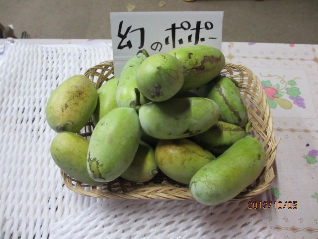 幻のぽぽー・・上山観光フルーツ園