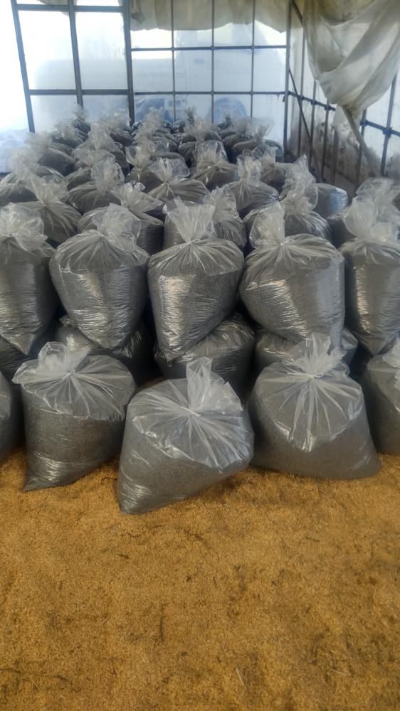 燻炭を作ってます。