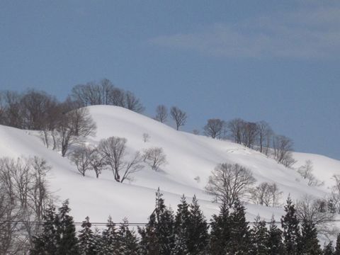 よろしくお願いします。