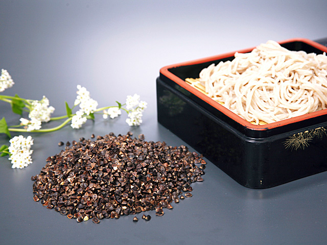 �֤��Фμ¡פβ���