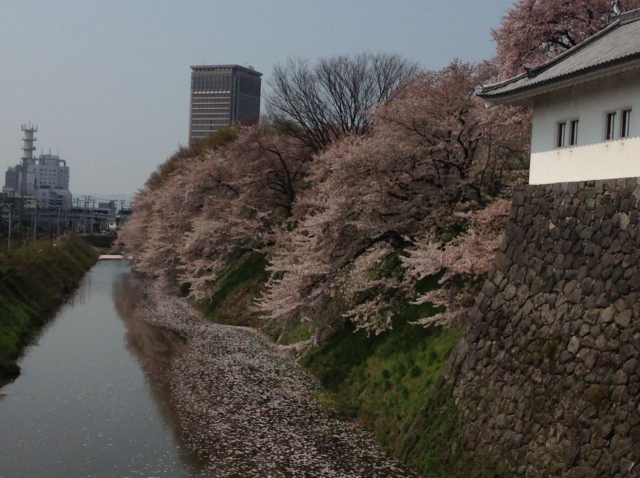 工務部の水戸です。