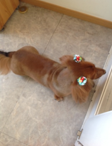 �֥��ޡ����åȡפβ���