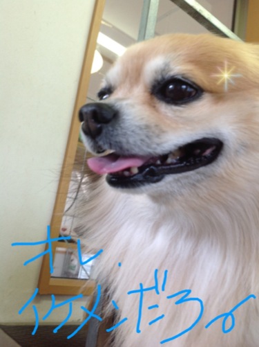 �֥������פβ���